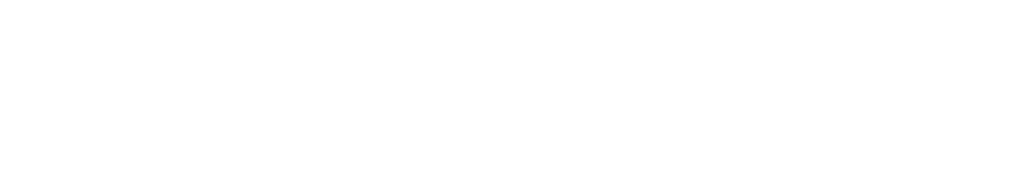 parner-logo